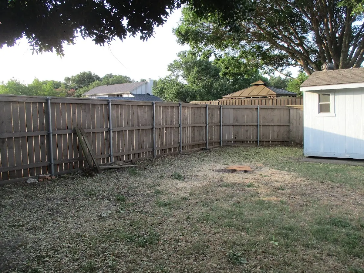 Cleared yard after professional tree removal in Elk Creek